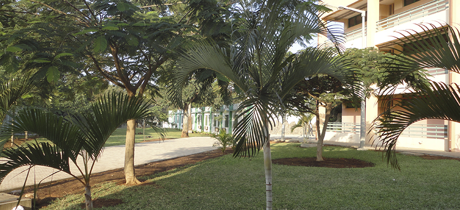 Lançamento em Moçambique